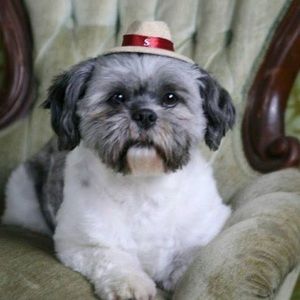 Meet your Posher, Deborah